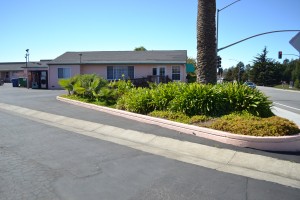 Comfort Inn Santa Cruz - Santa Cruz Inn Driveway